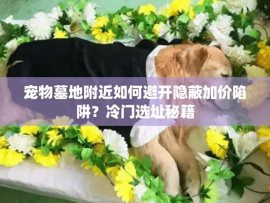 宠物墓地附近如何避开隐蔽加价陷阱？冷门选址秘籍