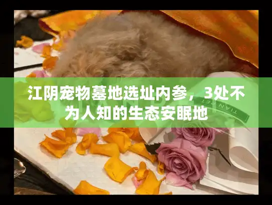 江阴宠物墓地选址内参，3处不为人知的生态安眠地