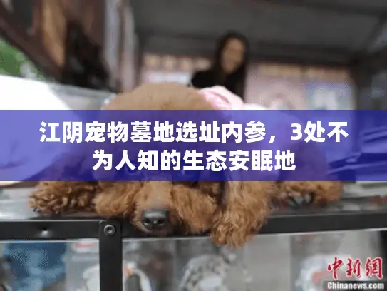 江阴宠物墓地选址内参，3处不为人知的生态安眠地