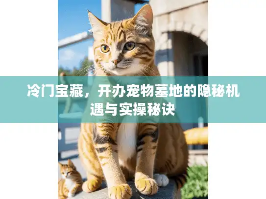 冷门宝藏，开办宠物墓地的隐秘机遇与实操秘诀