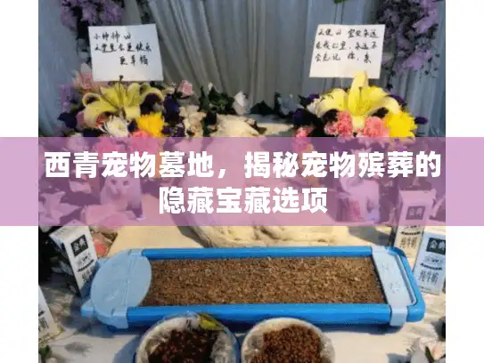 西青宠物墓地，揭秘宠物殡葬的隐藏宝藏选项