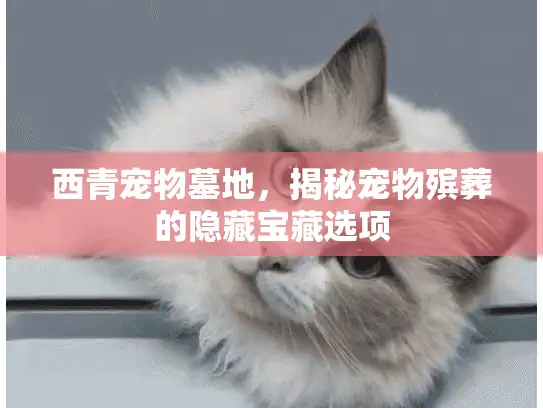 西青宠物墓地，揭秘宠物殡葬的隐藏宝藏选项