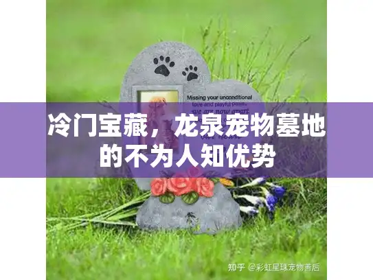 冷门宝藏，龙泉宠物墓地的不为人知优势