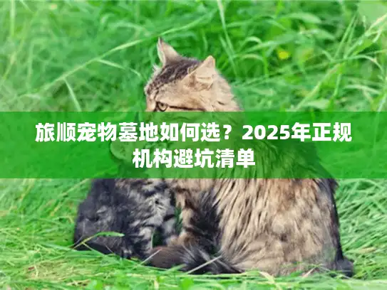旅顺宠物墓地如何选？2025年正规机构避坑清单