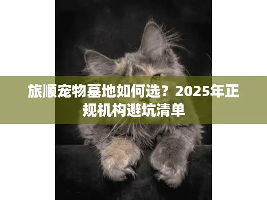 旅顺宠物墓地如何选？2025年正规机构避坑清单