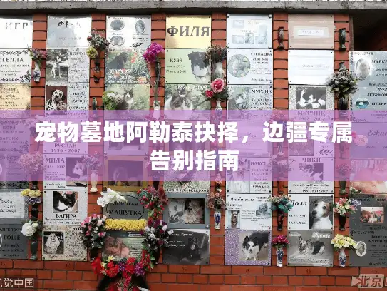 宠物墓地阿勒泰抉择，边疆专属告别指南