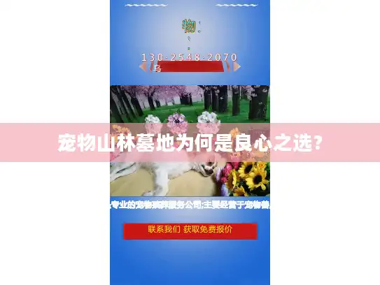 宠物山林墓地为何是良心之选？