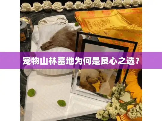 宠物山林墓地为何是良心之选？