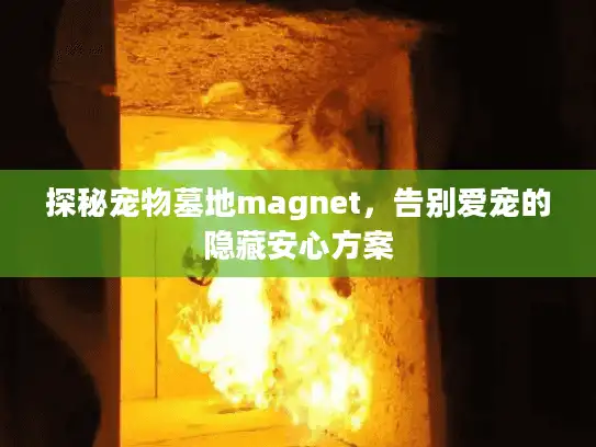 探秘宠物墓地magnet，告别爱宠的隐藏安心方案