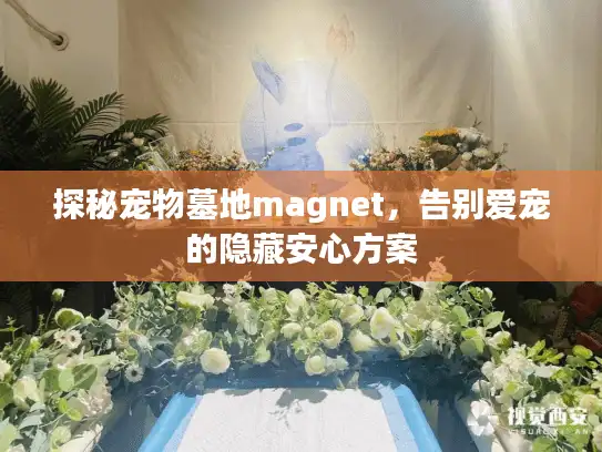 探秘宠物墓地magnet，告别爱宠的隐藏安心方案