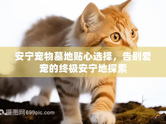安宁宠物墓地贴心选择，告别爱宠的终极安宁地探索