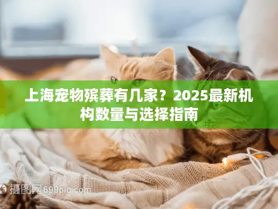 上海宠物殡葬有几家？2025最新机构数量与选择指南