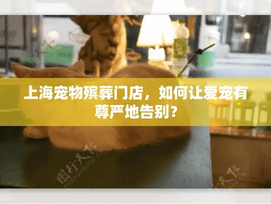 上海宠物殡葬门店，如何让爱宠有尊严地告别？