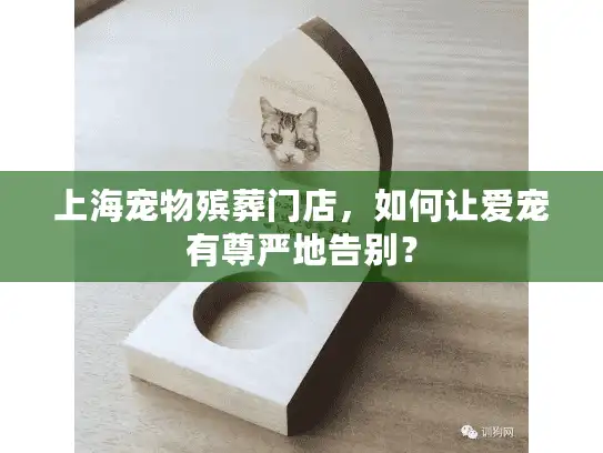 上海宠物殡葬门店，如何让爱宠有尊严地告别？