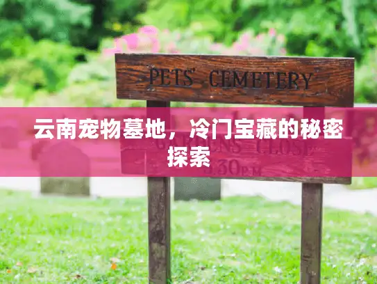 云南宠物墓地，冷门宝藏的秘密探索