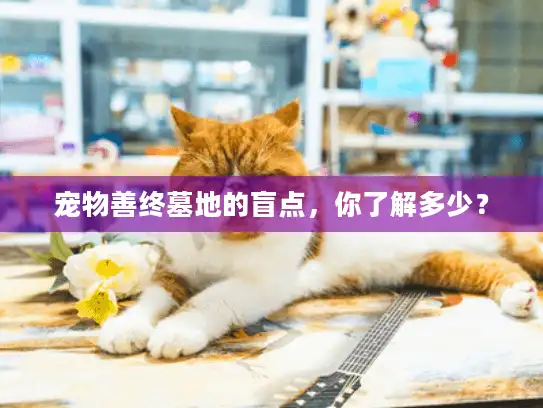 宠物善终墓地的盲点，你了解多少？