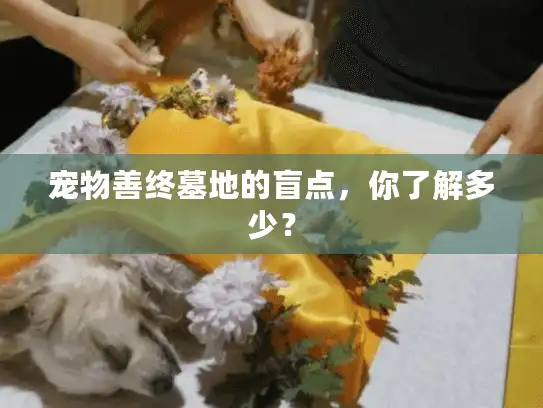 宠物善终墓地的盲点，你了解多少？