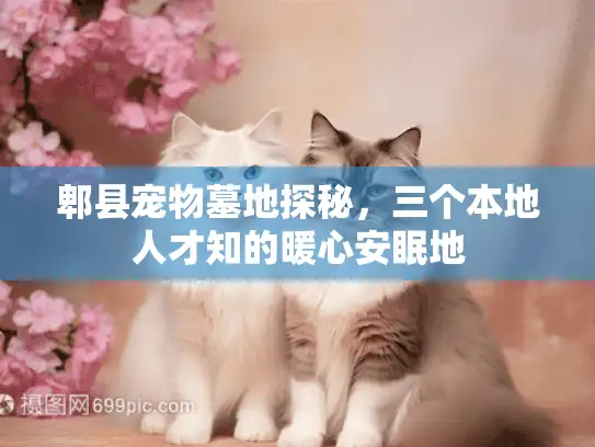 郫县宠物墓地探秘，三个本地人才知的暖心安眠地