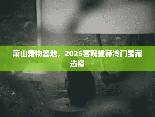 萧山宠物墓地，2025客观推荐冷门宝藏选择