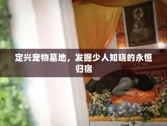 定兴宠物墓地，发掘少人知晓的永恒归宿