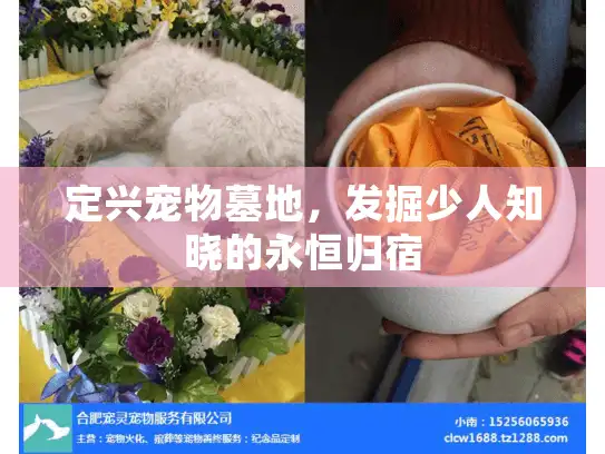 定兴宠物墓地，发掘少人知晓的永恒归宿