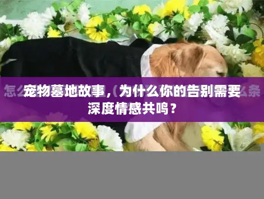宠物墓地故事，为什么你的告别需要深度情感共鸣？
