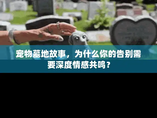 宠物墓地故事，为什么你的告别需要深度情感共鸣？