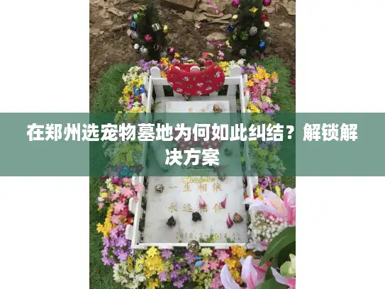 在郑州选宠物墓地为何如此纠结？解锁解决方案
