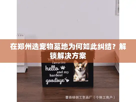 在郑州选宠物墓地为何如此纠结？解锁解决方案
