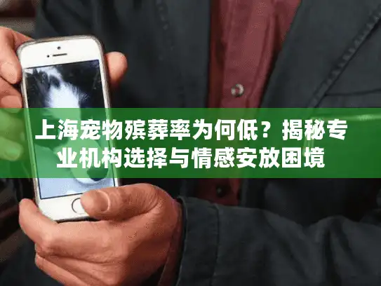 上海宠物殡葬率为何低？揭秘专业机构选择与情感安放困境