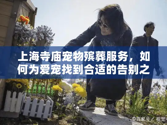 上海寺庙宠物殡葬服务，如何为爱宠找到合适的告别之地？