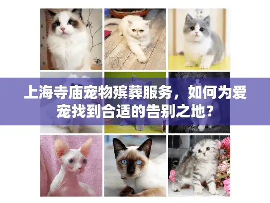 上海寺庙宠物殡葬服务，如何为爱宠找到合适的告别之地？