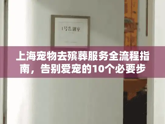 上海宠物去殡葬服务全流程指南，告别爱宠的10个必要步骤