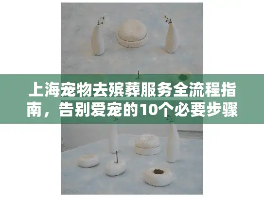 上海宠物去殡葬服务全流程指南，告别爱宠的10个必要步骤