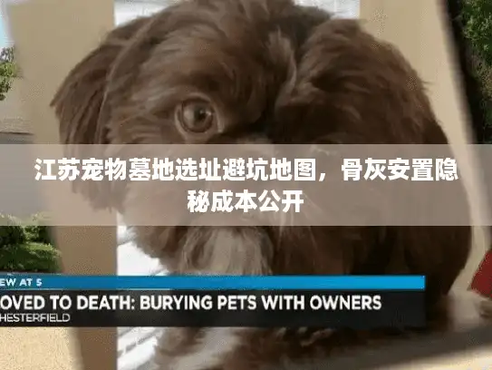 江苏宠物墓地选址避坑地图，骨灰安置隐秘成本公开