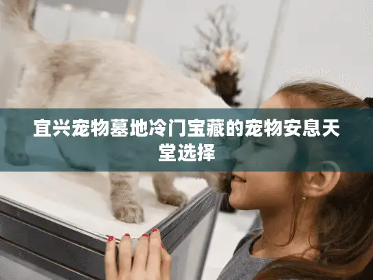 宜兴宠物墓地冷门宝藏的宠物安息天堂选择