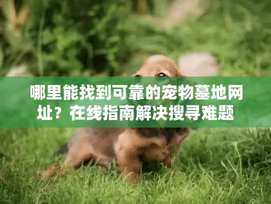 哪里能找到可靠的宠物墓地网址？在线指南解决搜寻难题