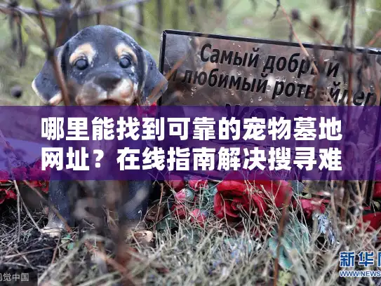哪里能找到可靠的宠物墓地网址？在线指南解决搜寻难题