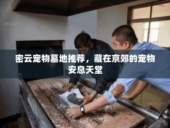 密云宠物墓地推荐，藏在京郊的宠物安息天堂
