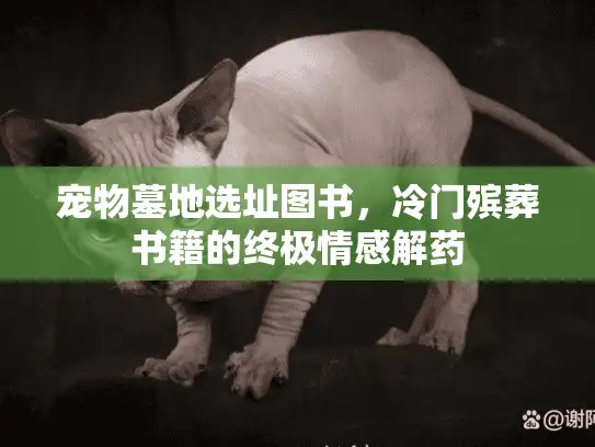 宠物墓地选址图书，冷门殡葬书籍的终极情感解药