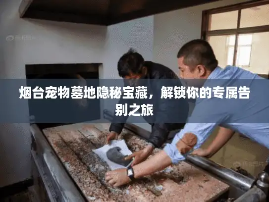 烟台宠物墓地隐秘宝藏，解锁你的专属告别之旅
