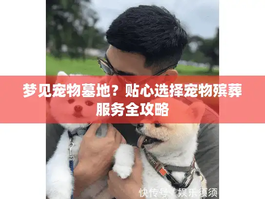 梦见宠物墓地？贴心选择宠物殡葬服务全攻略