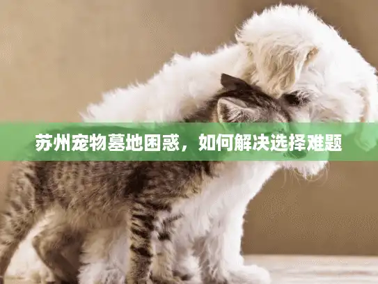苏州宠物墓地困惑，如何解决选择难题