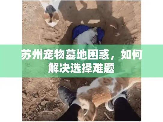 苏州宠物墓地困惑，如何解决选择难题