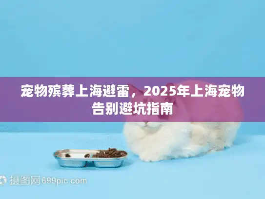 宠物殡葬上海避雷，2025年上海宠物告别避坑指南