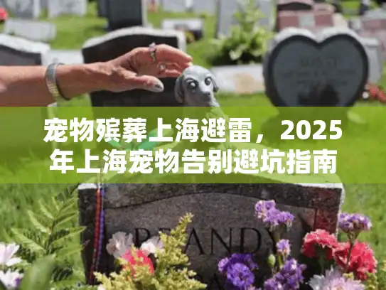 宠物殡葬上海避雷，2025年上海宠物告别避坑指南