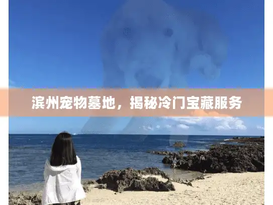 滨州宠物墓地，揭秘冷门宝藏服务