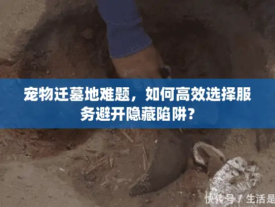 宠物迁墓地难题，如何高效选择服务避开隐藏陷阱？