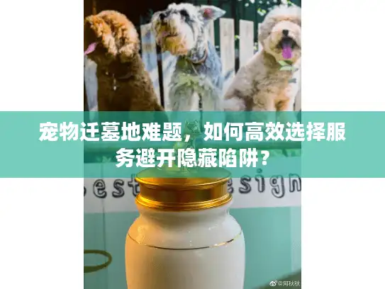宠物迁墓地难题，如何高效选择服务避开隐藏陷阱？