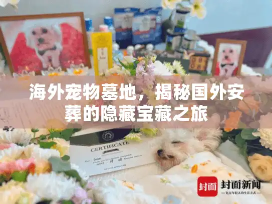 海外宠物墓地，揭秘国外安葬的隐藏宝藏之旅